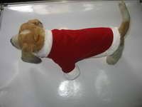 winter dog clothes, dog clothing